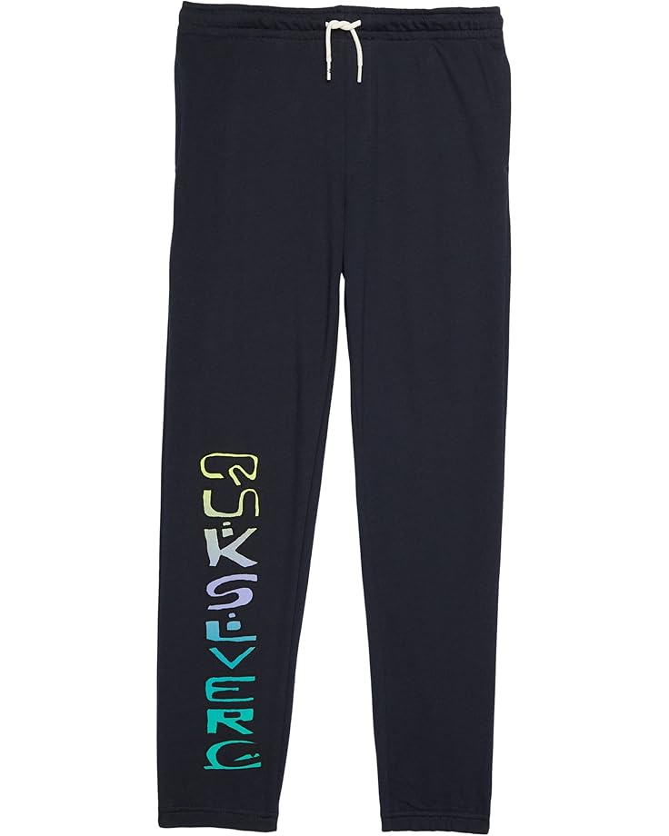 Quiksilver Kids Radical Times Pants (Big Kids)