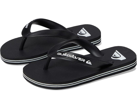  Quiksilver Kids Molokai Core (Toddler/Little Kid/Big Kid)