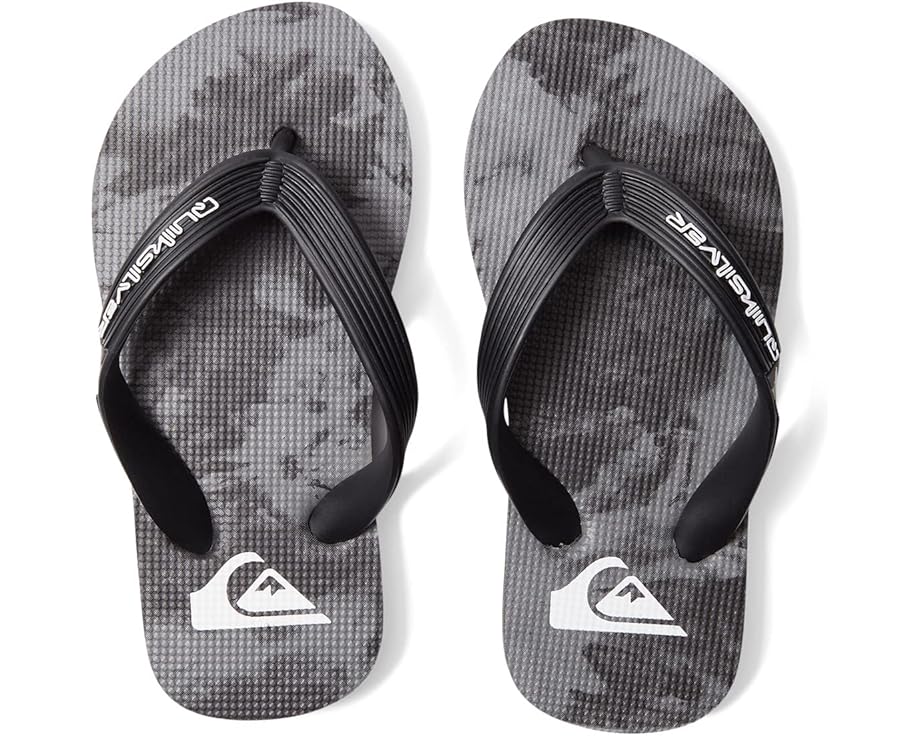  Quiksilver Kids Molokai Art (Toddler/Little Kid/Big Kid)