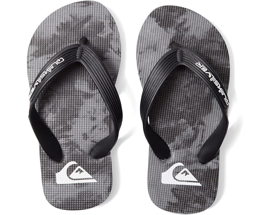  Quiksilver Kids Molokai Art (Toddler/Little Kid/Big Kid)