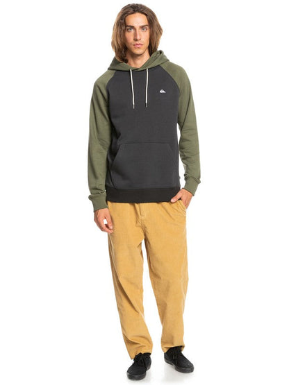  Quiksilver Everyday Hoodie